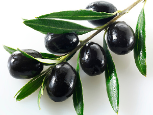 Производство рафинированного оливкового масла